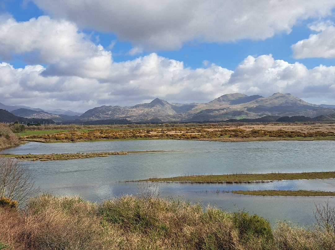 Premier Inn Porthmadog hotel主图