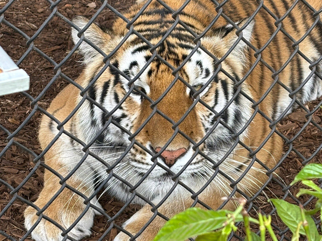 Central Florida Animal Reserve-圣克劳德必去景点