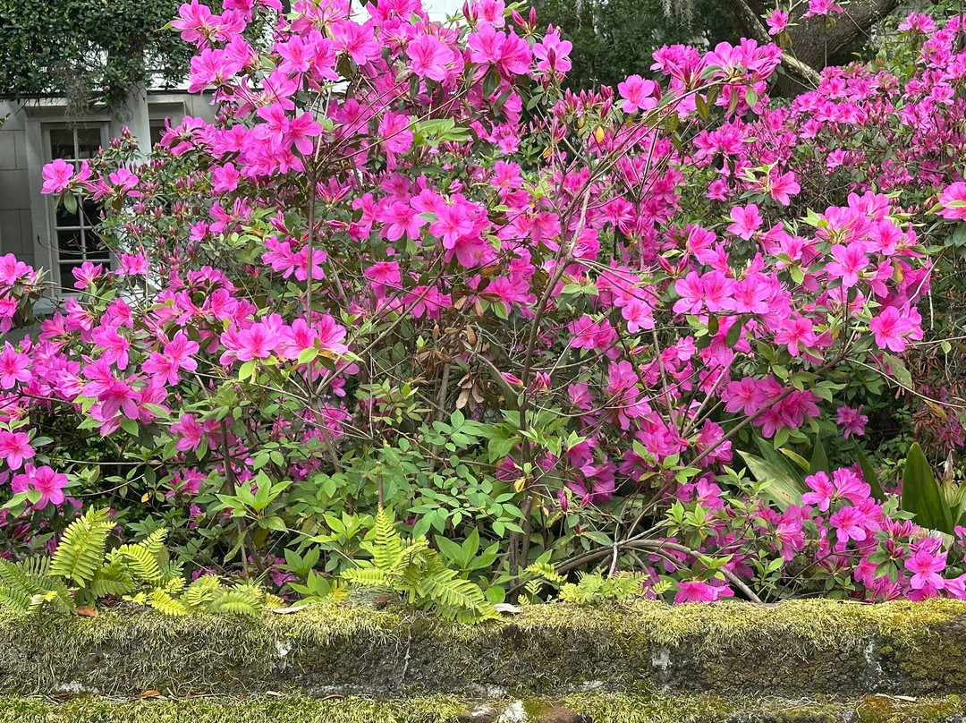 The Point-博福特必去景点