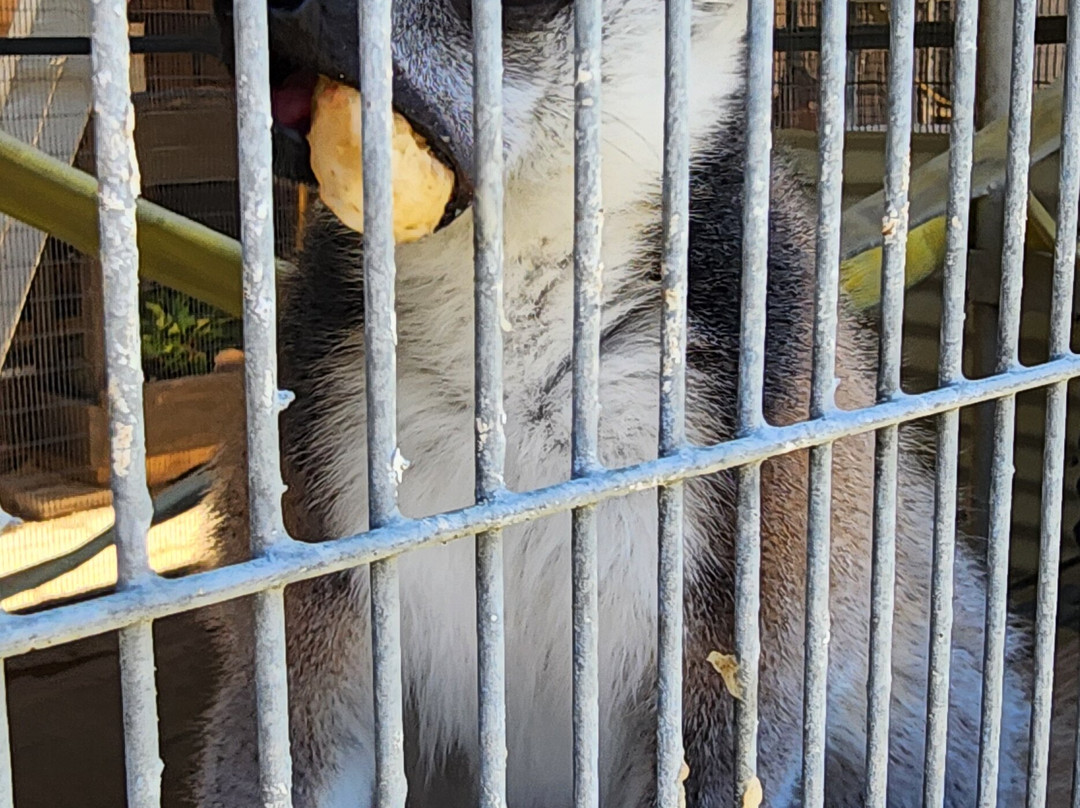 Nurtured By Nature-瓦利森特必去景点