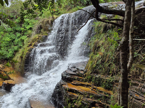 De Palmas Turismo-里约热内卢必去景点