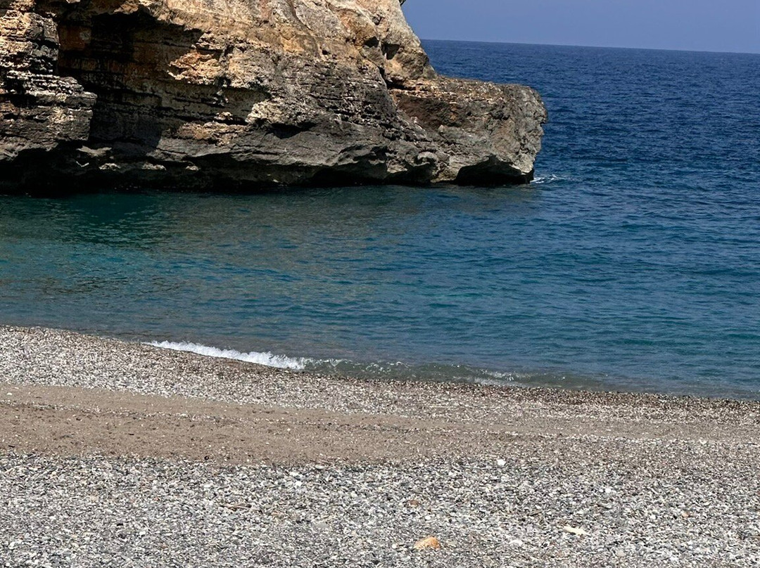 Royal Blue Diving Center (Francophone)-雷斯蒙必去景点