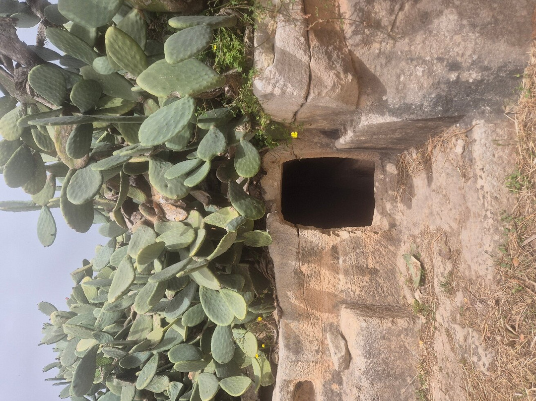 Salina Catacomb景点图片