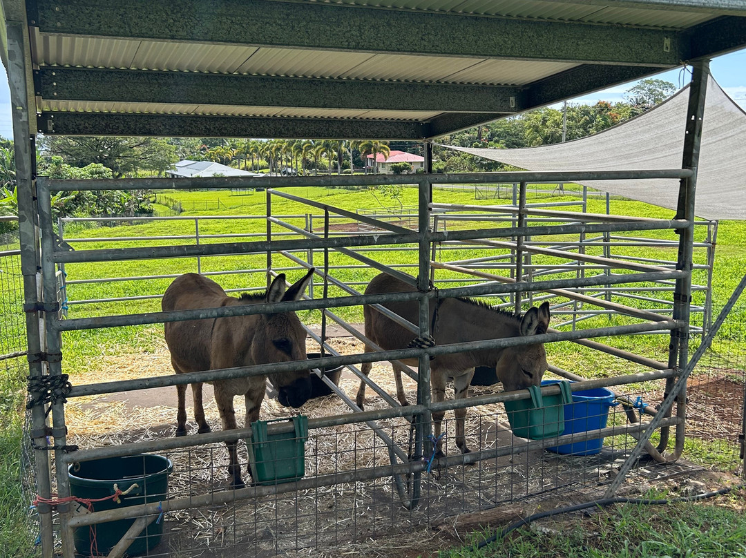 古德岛之家主图