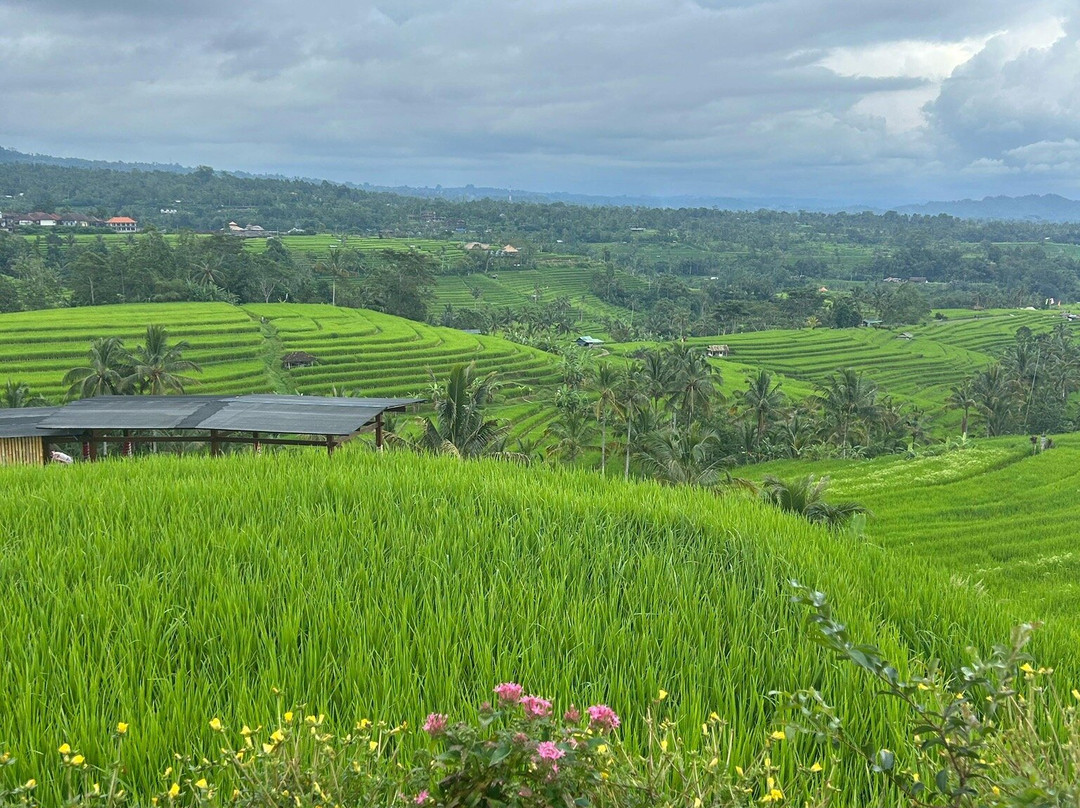 Kirani Bali Tour景点图片