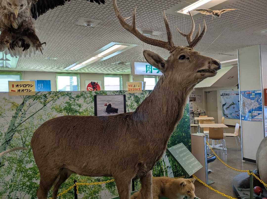 Nemuro City Hoppo Ryodo Museum-根室市必去景点
