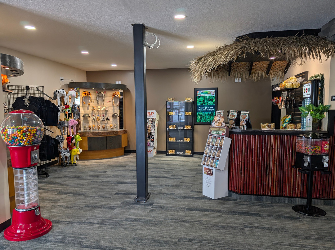 NeXgen-布兰登必去景点