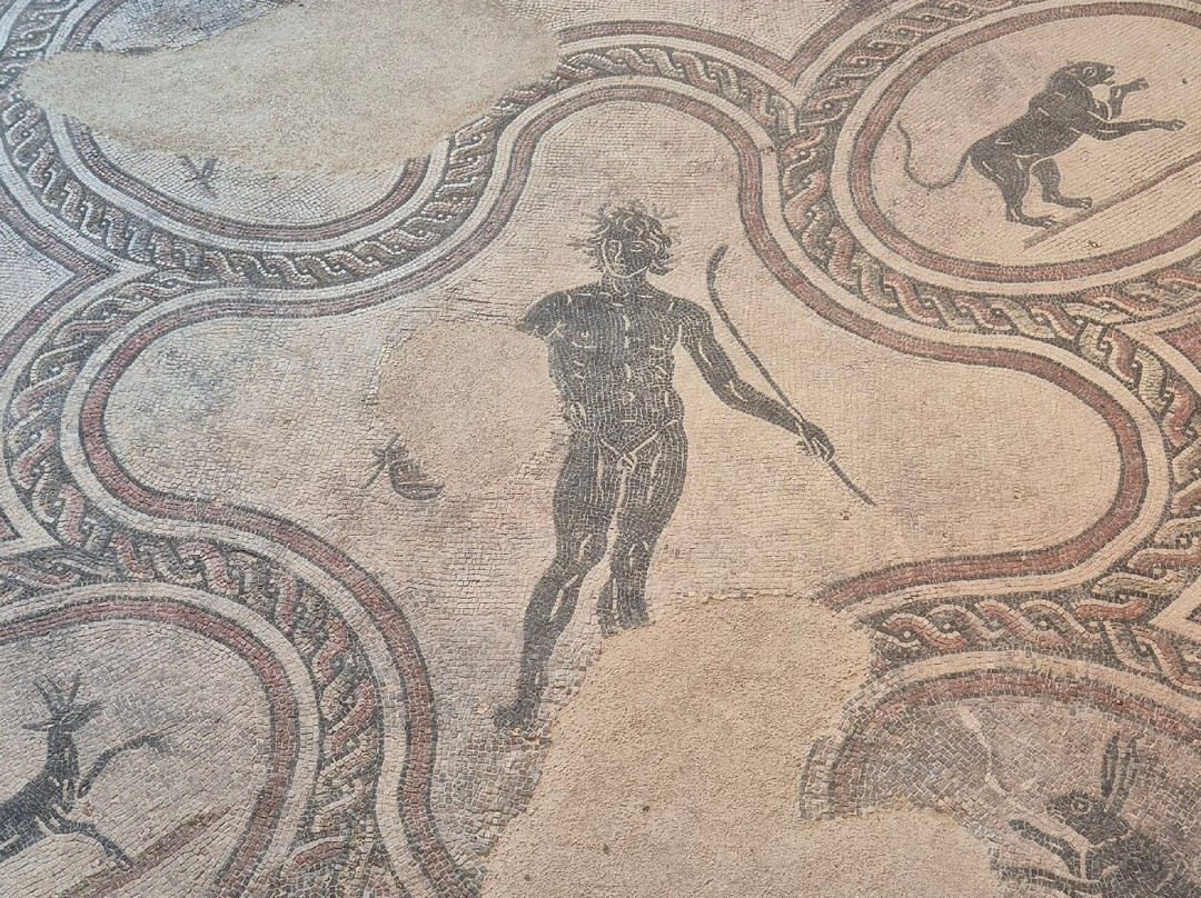 Villa dei Mosaici景点图片