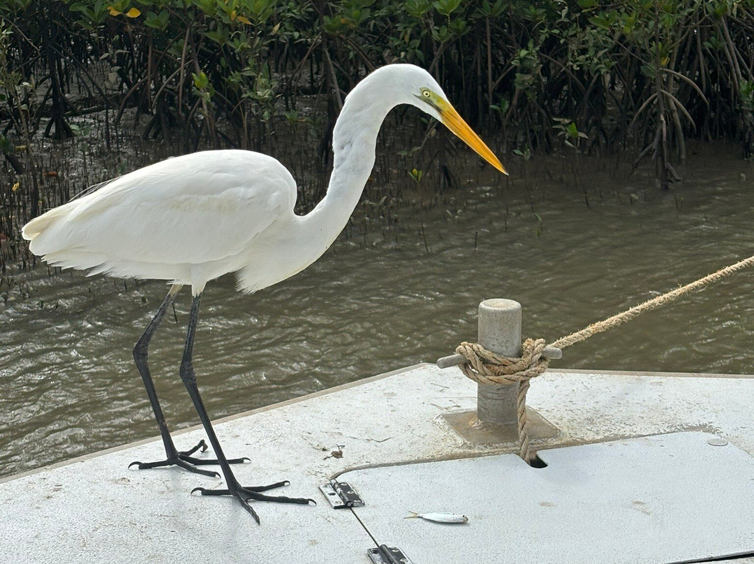Gone Fishin'  Cairns Australia景点图片
