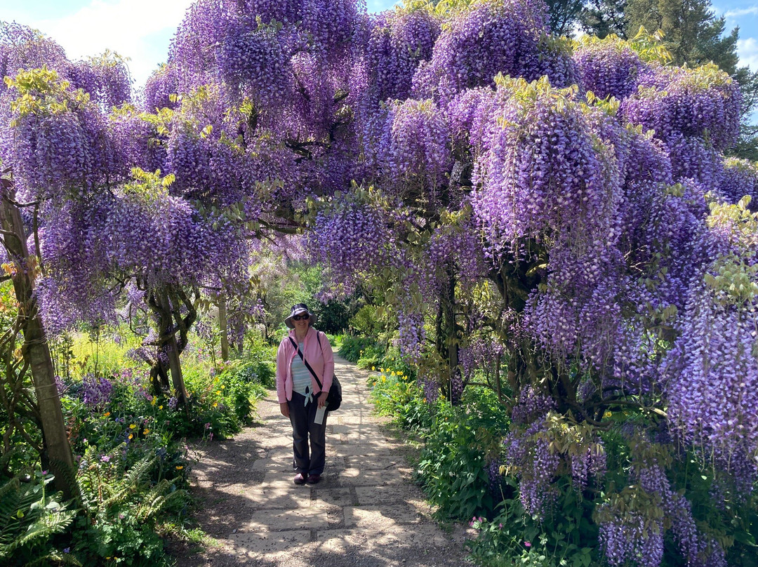 Marwood Hill Gardens景点图片
