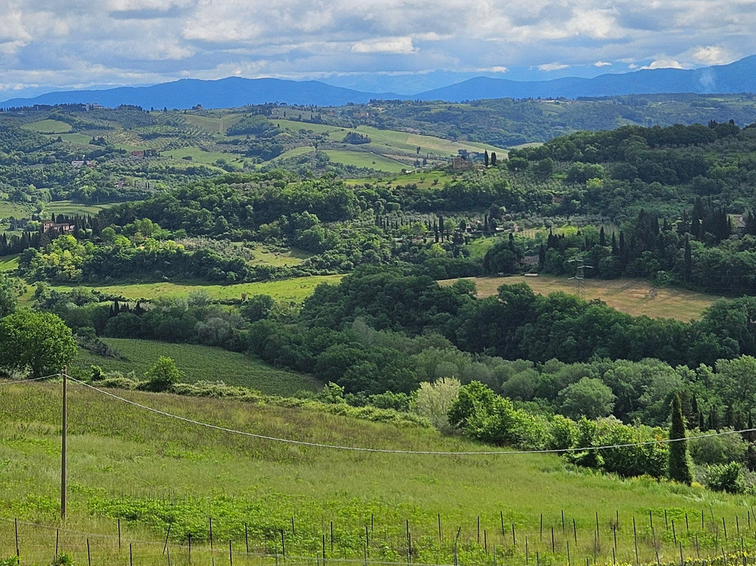 Fattoria San Pancrazio-佩萨河谷圣卡夏诺必去景点