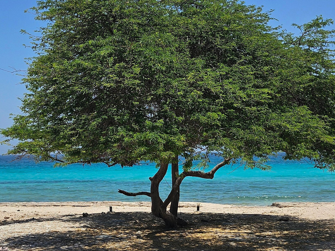 Maryam Beach-基什岛必去景点