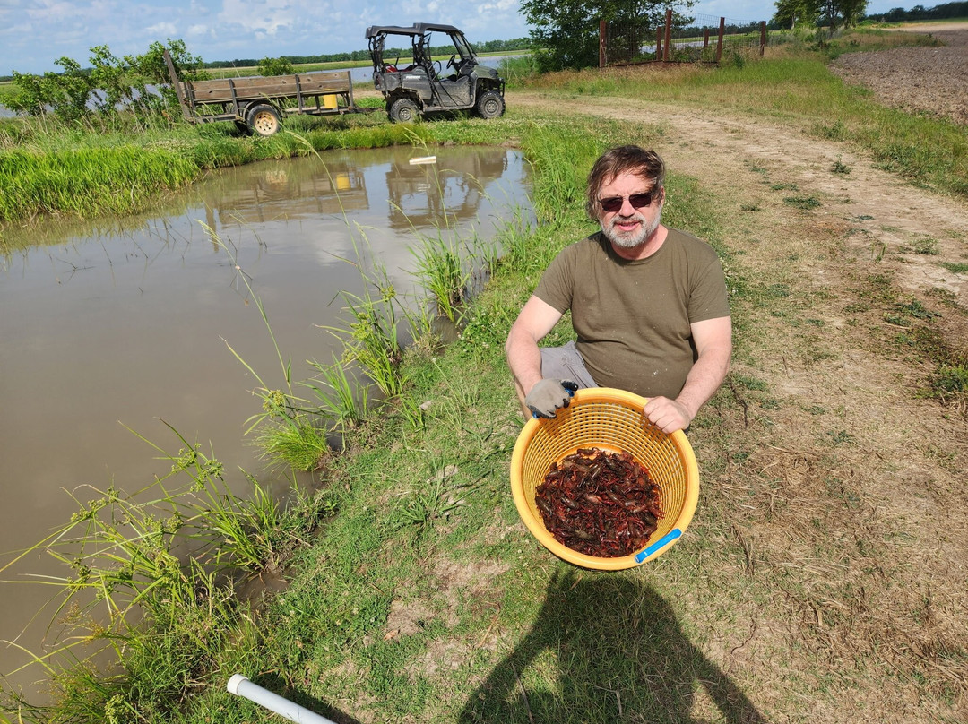 Crawfish Haven / Mrs. Rose's Bed and Breakfast主图
