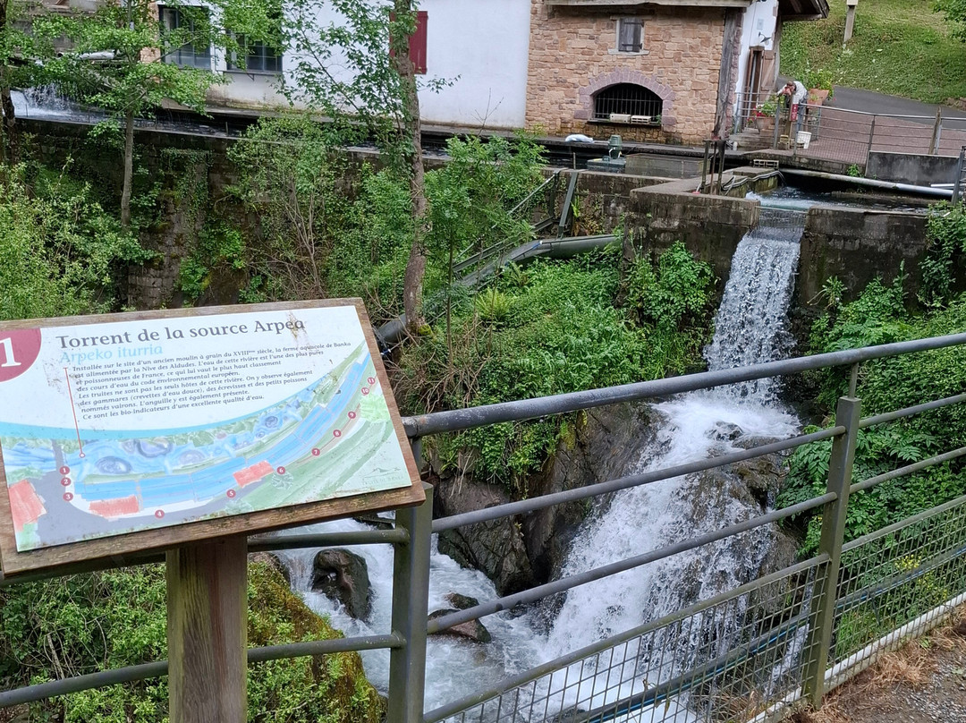 Truite de Banka-Banca必去景点