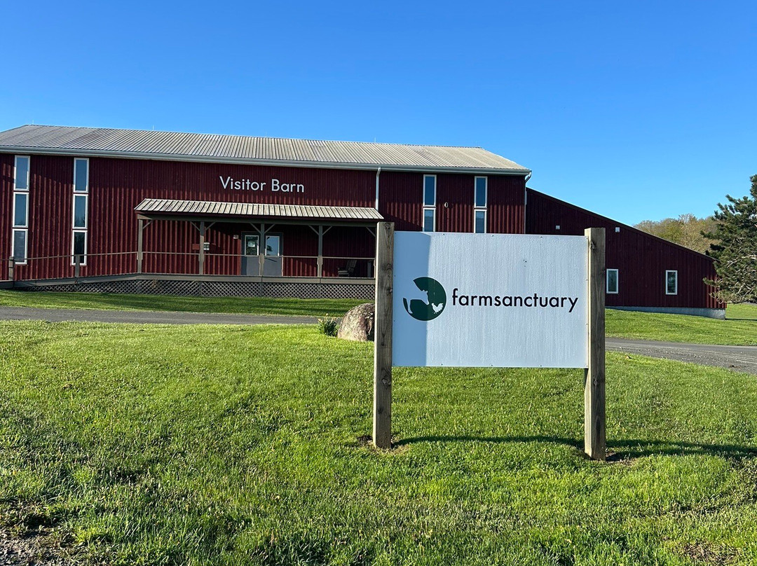 Farm Sanctuary-沃特金斯格伦必去景点