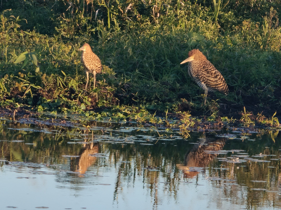 Posada Huella Ibera主图