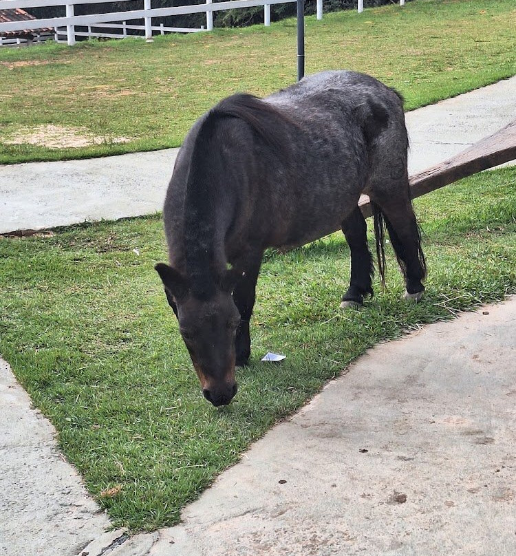 Tauá Resort & Convention Caeté主图