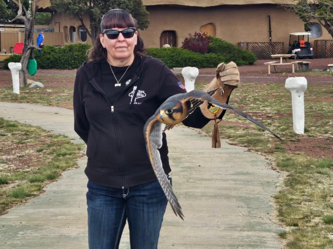 Raptor Ranch-威廉姆斯必去景点