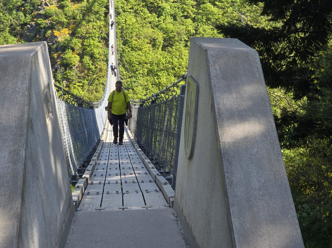 Hangeseilbrucke Geierlay-Moersdorf必去景点