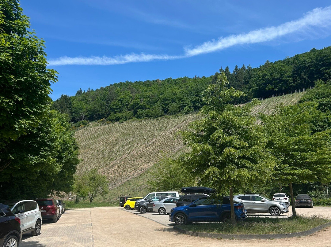 Dokumentationsstatte Regierungsbunker-巴特诺因阿尔－阿尔韦勒必去景点