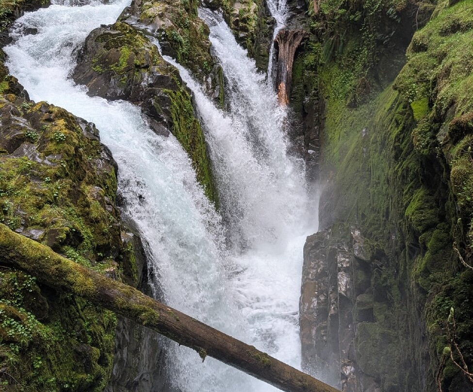Sol Duc Falls-奥林匹克国家公园必去景点