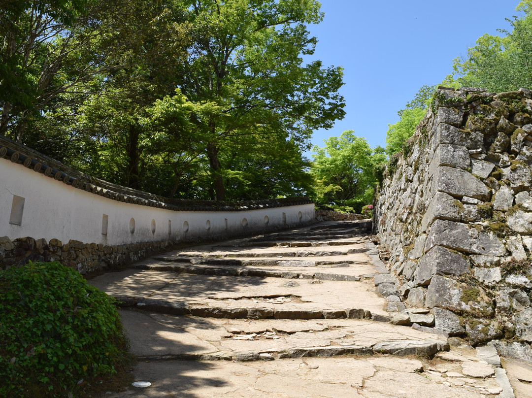 Bitchu Matsuyama Castle-高粱市必去景点