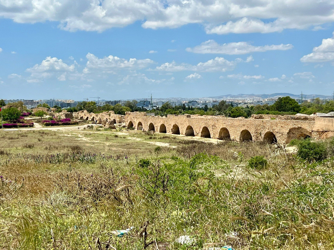 Carthage  Aqueduct-迦太基必去景点