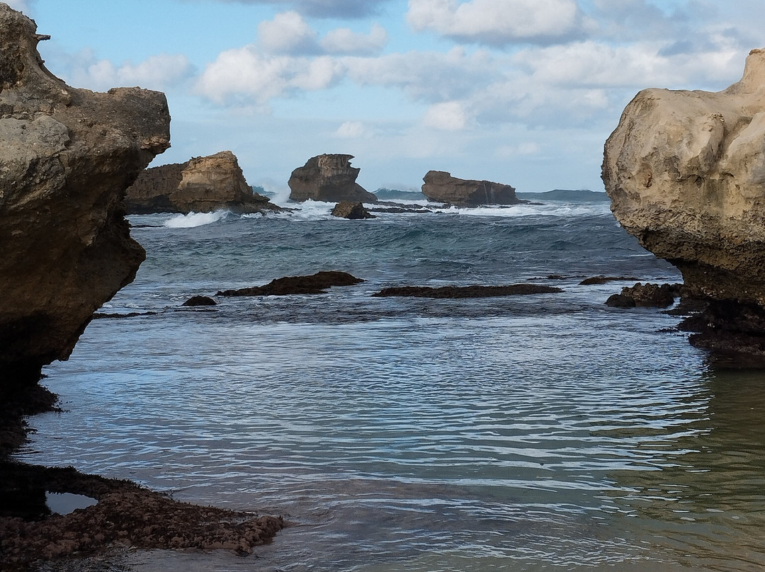 Peterborough House主图