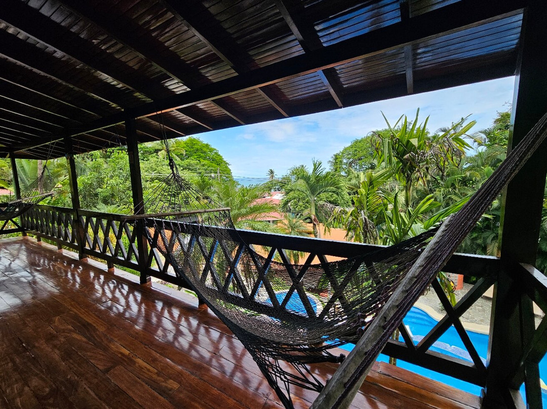 Hotel El Jardin主图