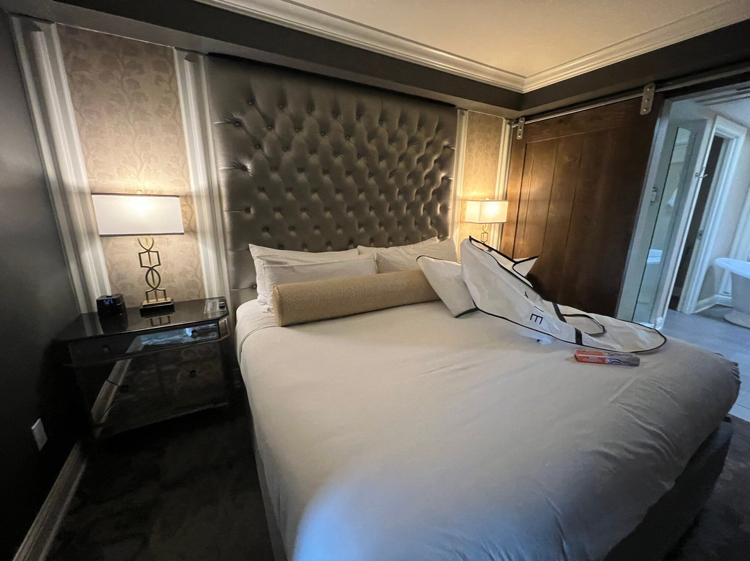 巴拉德酒店主图