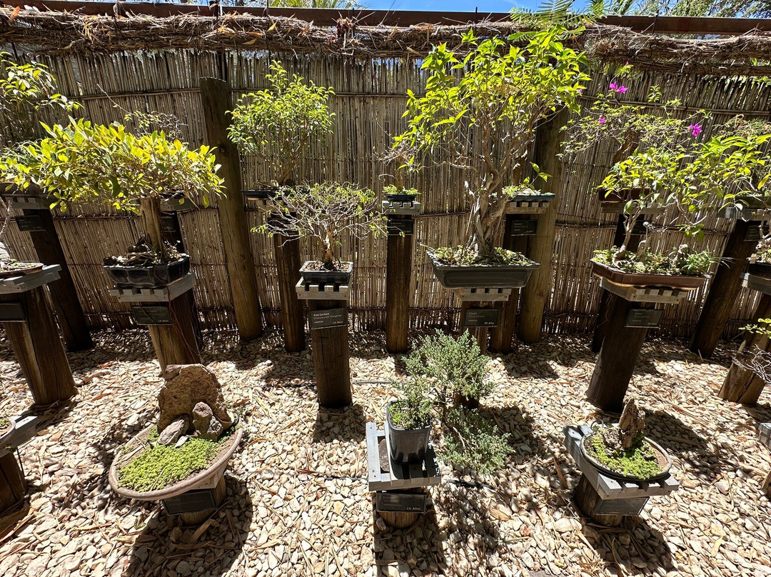 Jardin Botanico Culiacan-Culiacan必去景点