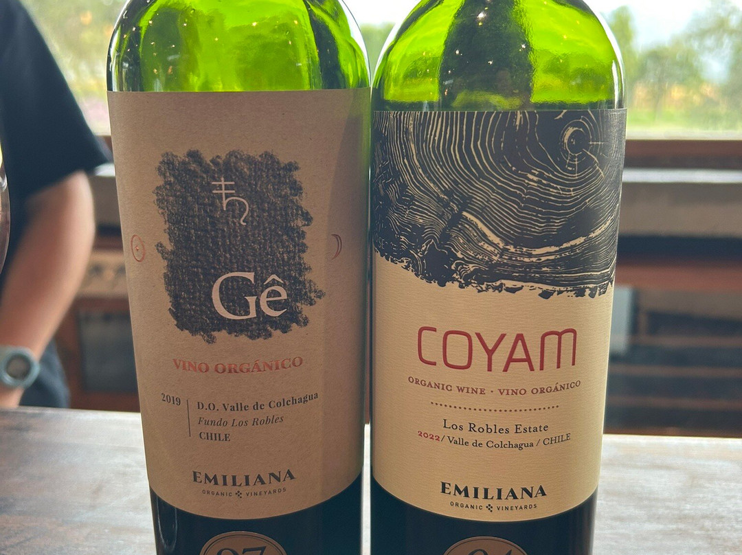 Emiliana Organic Vineyards-卡萨布兰卡必去景点