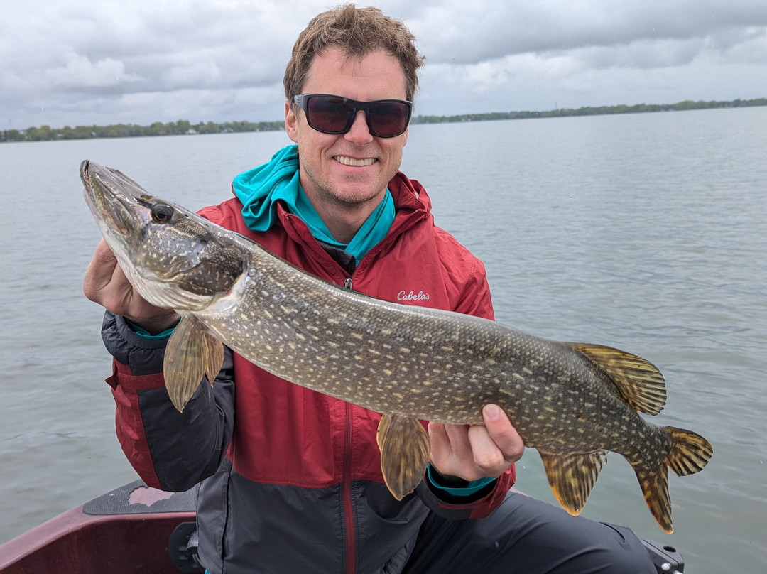 Advanced Bassin-多拉尔-德索莫必去景点