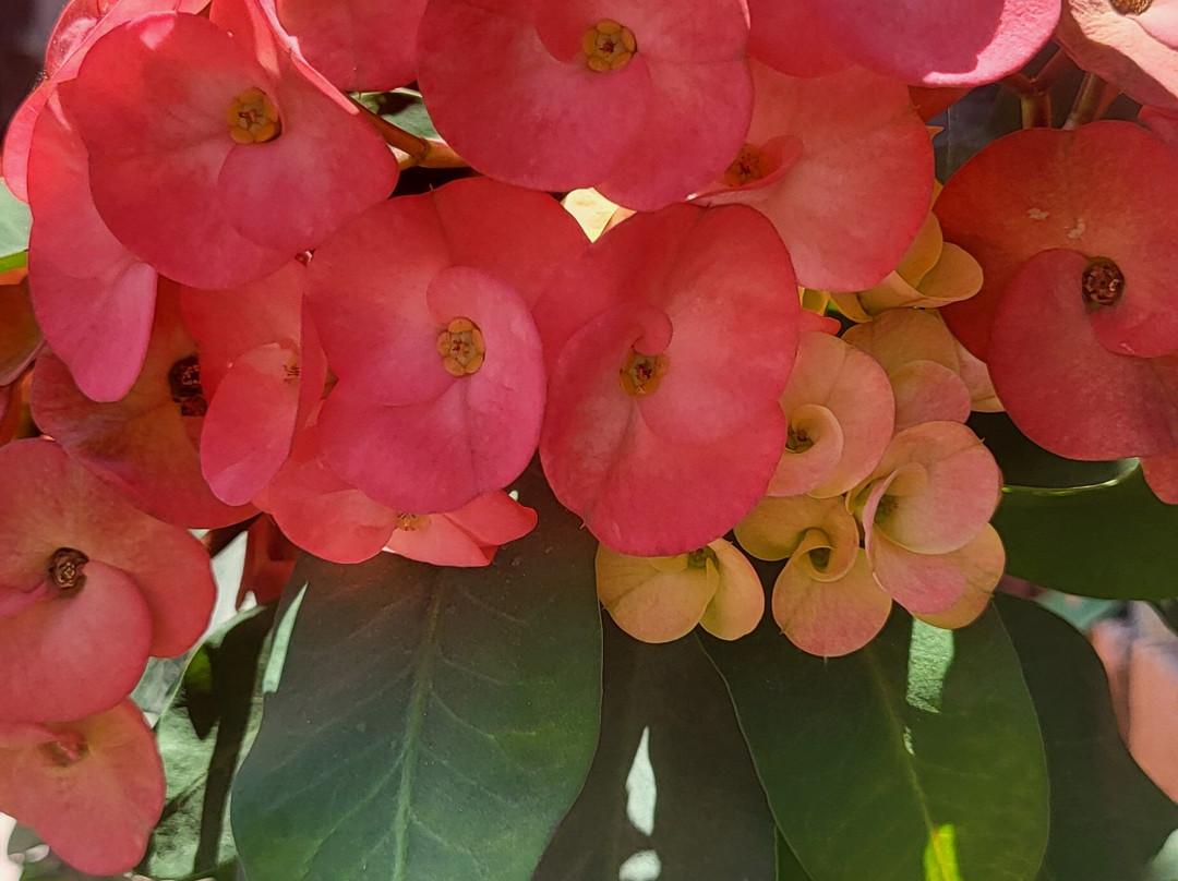 Summer's Ranch-瓦拉塔港必去景点