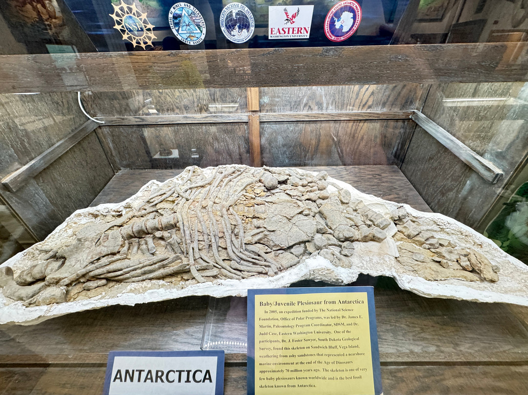 Museum of Geology-拉皮德城必去景点