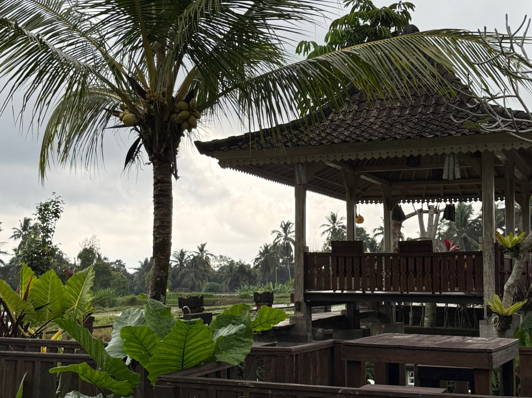 Uma Caming Villas & Gym主图