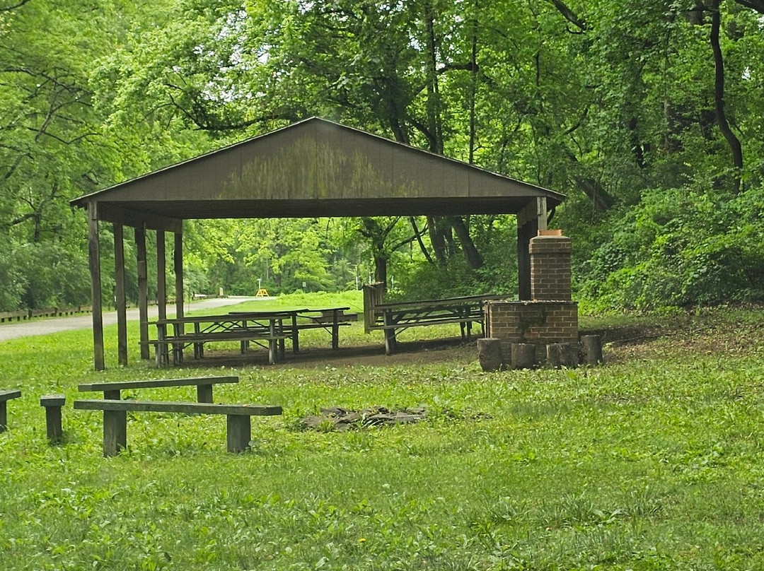 Fair Hill State Natural Resources-埃尔克顿必去景点