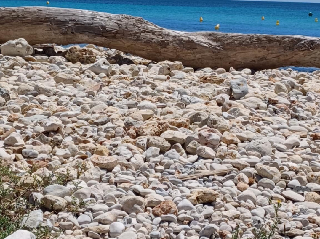 Playa Sant'Adeodat-Migjorn Gran必去景点