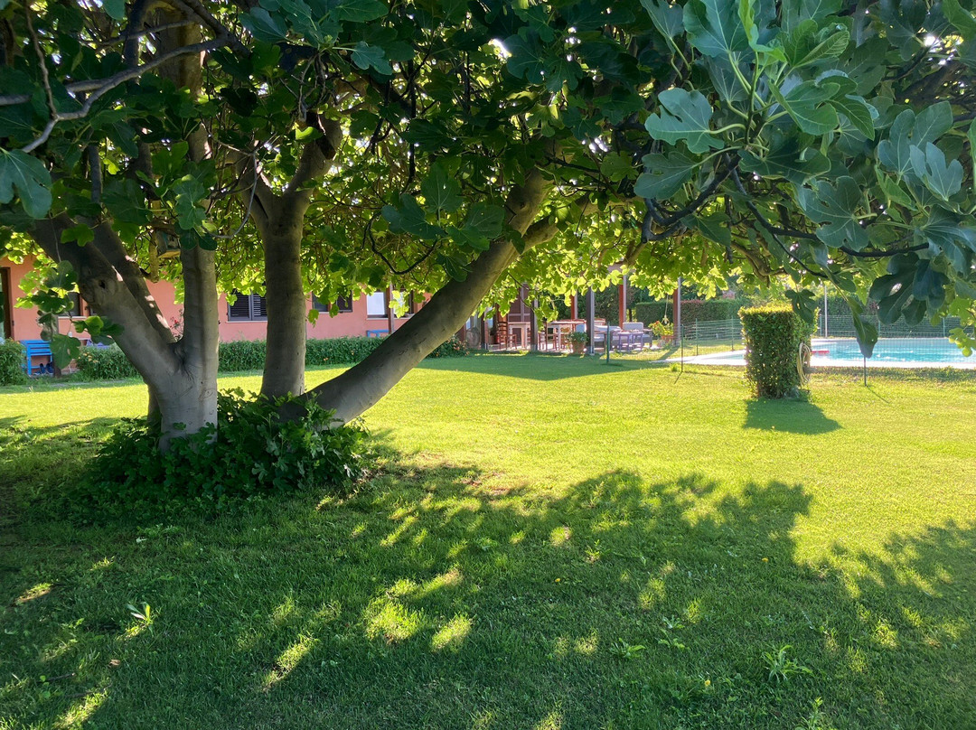 Agriturismo Prati degli Orti主图