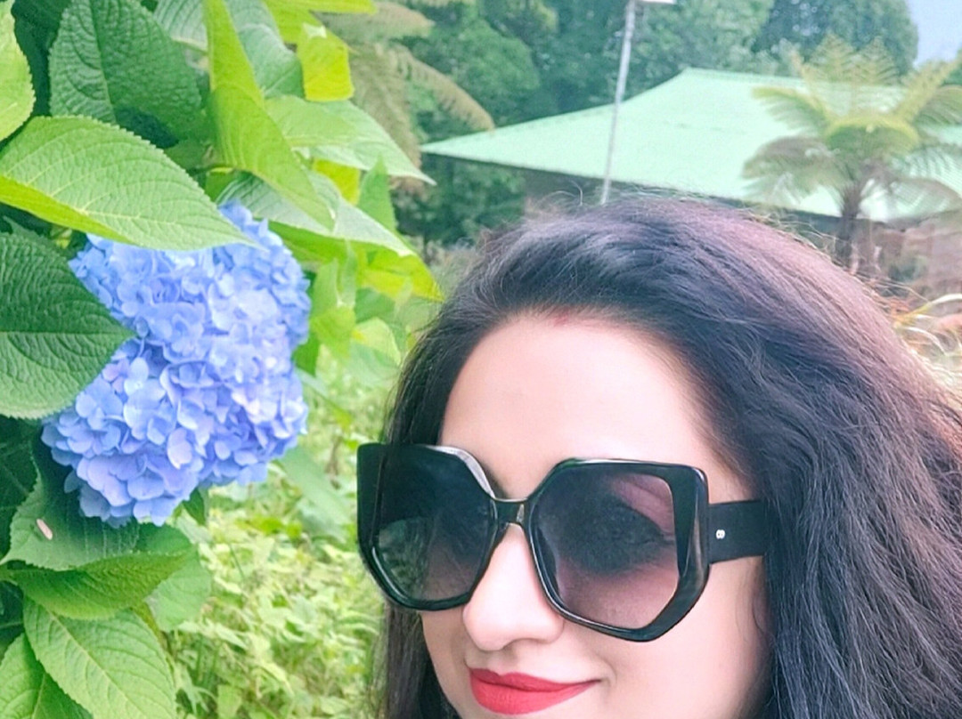 The Barfung Retreat主图