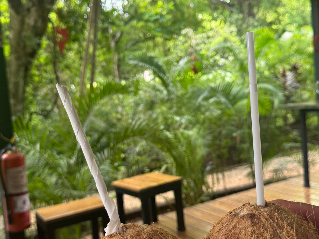 Sibou Spa-塔马林多必去景点