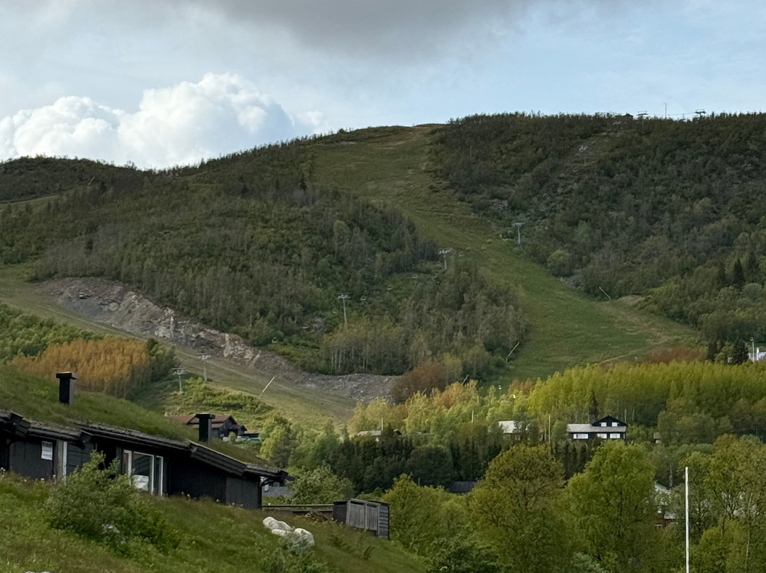 Geilo Mountain Lodge主图