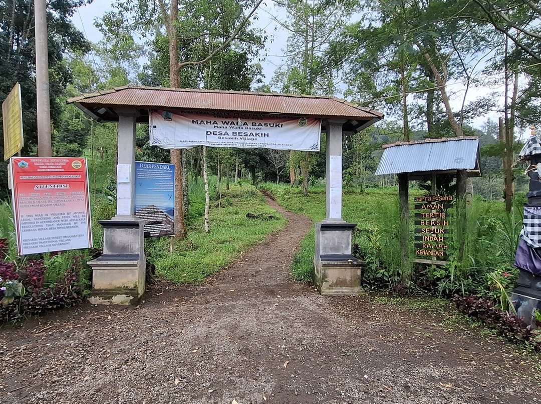Bali Sunrise Trekking and Tour景点图片