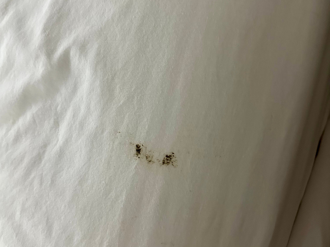 Baymont by Wyndham Cornelia主图