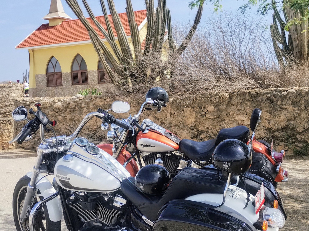 Aruba Motorcycle Tours-奥腊涅斯塔德必去景点