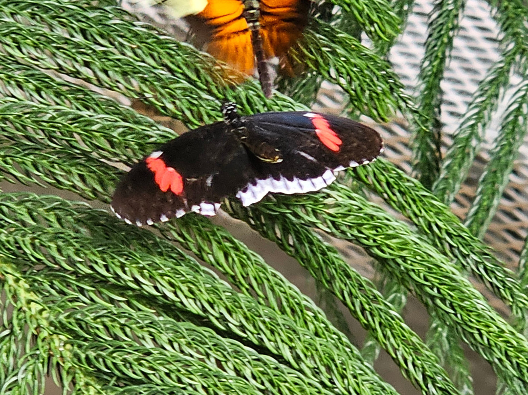 Baymont by Wyndham Sioux Falls主图