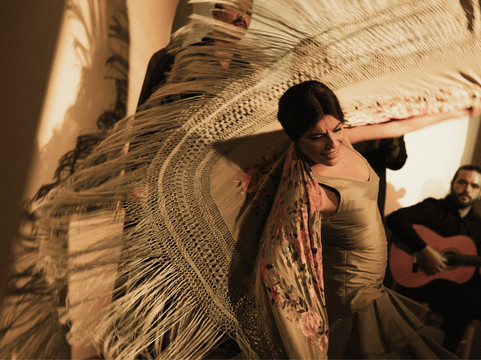 Centro Cultural Flamenco-马德里必去景点