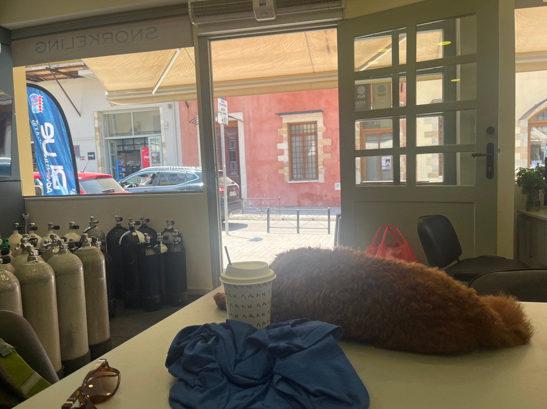 Blue Adventures Diving-干尼亚必去景点