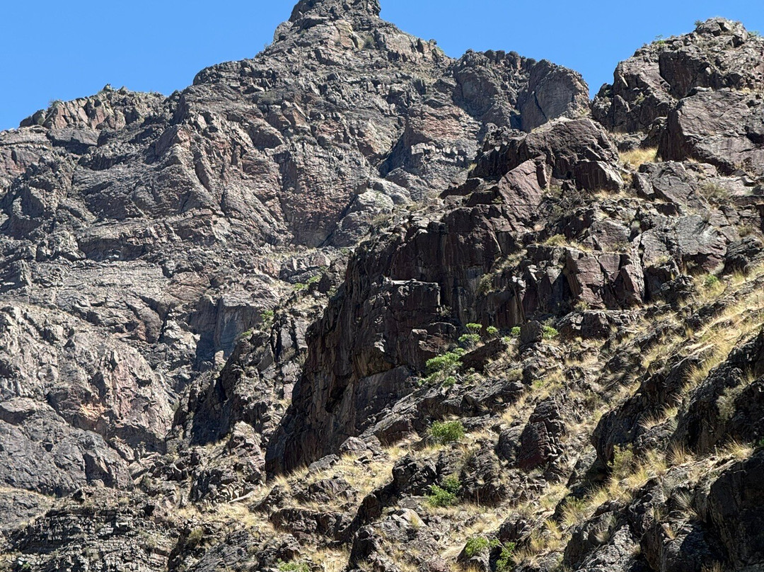 Killgore Adventures Hells Canyon Jet Boat Trips & Fishing Trips-White Bird必去景点