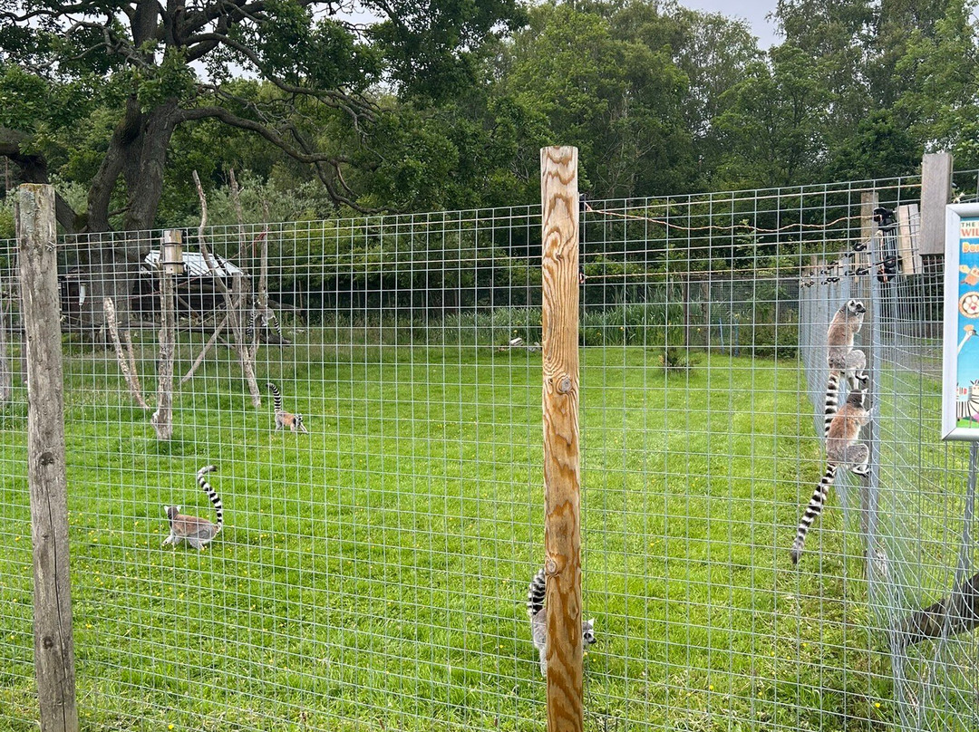 The Lake District Wildlife Park景点图片